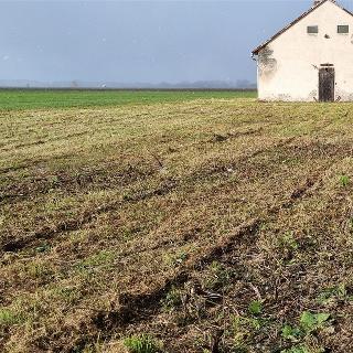 Prodej komerčního pozemku 3 513 m² Přerov