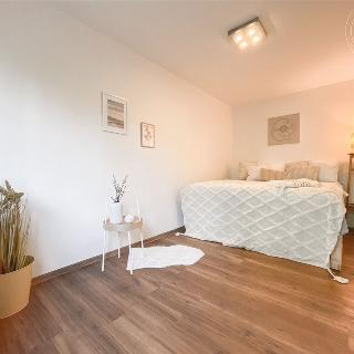 Prodej rodinného domu 150 m² Brno, Malíkova