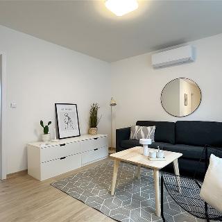 Prodej bytu 5+kk 207 m² Brno, Pod Horkou