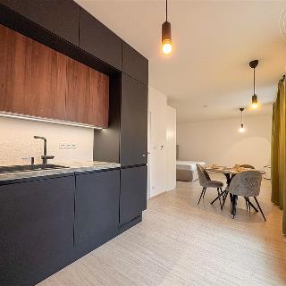 Pronájem bytu 1+kk a garsoniéry 42 m² Brno, Reissigova