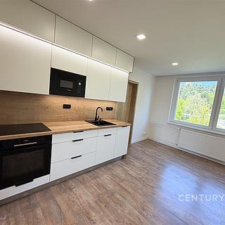 Pronájem bytu 3+kk 62 m&sup2; Brno