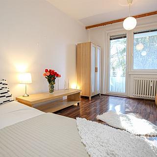 Pronájem bytu 1+1 35 m&sup2; Brno