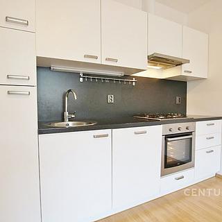 Pronájem bytu 3+kk 54 m&sup2; Brno