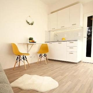 Pronájem bytu 1+kk, garsoniery 19 m² Brno