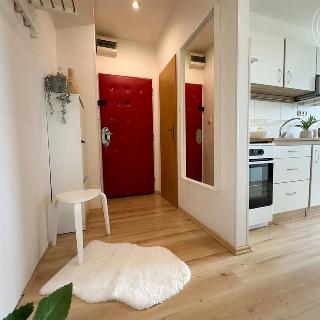 Pronájem bytu 2+kk 54 m² Ivančice, Okružní