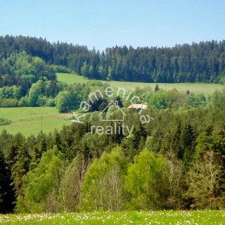 Prodej stavební parcely 113 244 m² Malšín