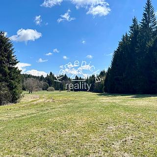 Prodej stavební parcely 25271 m&sup2; Černá v Pošumaví
