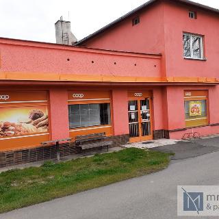 Prodej obchodu 347 m² Horní Bludovice