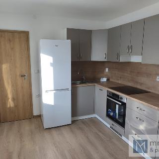 Pronájem bytu 3+1 85 m² Návsí