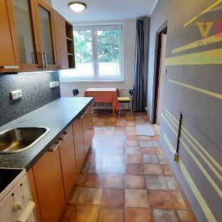 Pronájem bytu 2+1 60 m² Prostějov, Tylova