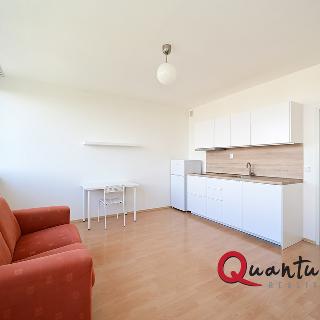 Pronájem bytu 1+kk a garsoniéry 30 m² Praha, Přeštická