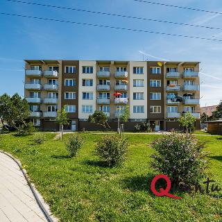 Prodej bytu 2+1 54 m² Veselí nad Lužnicí, Pod Markem