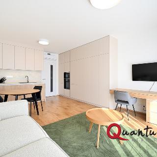 Pronájem bytu 1+kk a garsoniéry 35 m² Praha, 