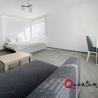 Pronájem bytu 1+1 44 m² Praha, V předpolí