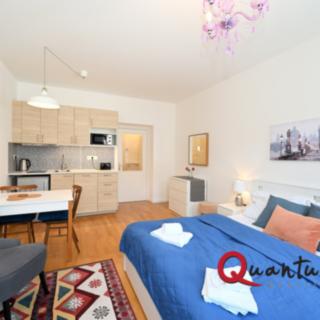 Pronájem bytu 1+kk a garsoniéry 30 m² Praha Vinohrady, Záhřebská