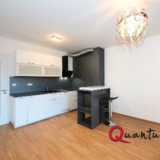 Prodej bytu 1+kk a garsoniéry 37 m² Praha, Hadovitá