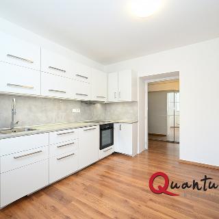 Pronájem bytu 1+1 47 m² Praha, 