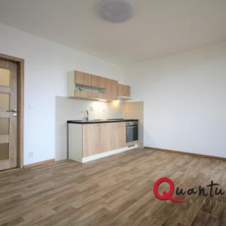 Pronájem bytu 1+kk a garsoniéry 33 m² Praha, Lešenská