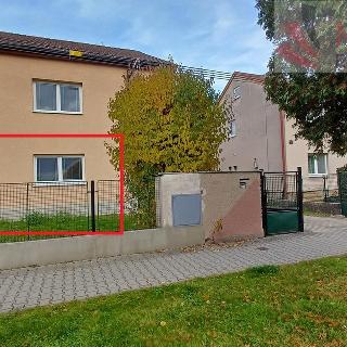 Pronájem rodinného domu 485 m² Pardubice, Dašická