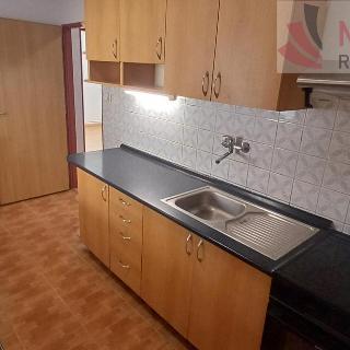 Pronájem rodinného domu 485 m² Pardubice, Dašická