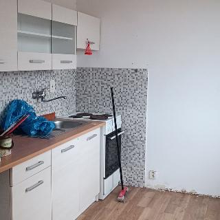 Pronájem bytu 2+kk 40 m² Bílina, Síbova