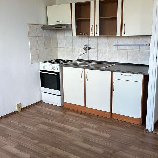 Pronájem bytu 1+1 35 m² Duchcov, Osecká