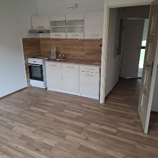 Pronájem bytu 1+kk a garsoniéry 23 m² Duchcov, Osecká