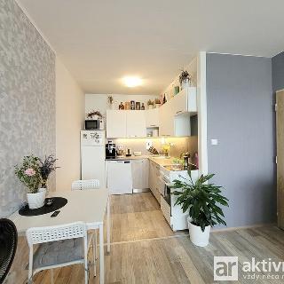 Pronájem bytu 2+kk 40 m² Neratovice, 17. listopadu