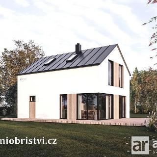 Prodej rodinného domu 105 m² Obříství, K Bažantnici