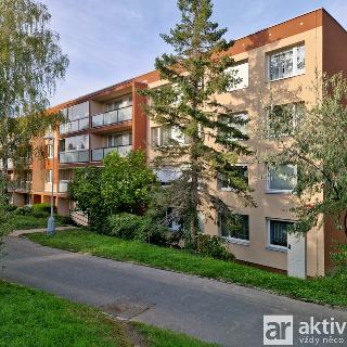 Pronájem bytu 3+1 78 m² Mělník, Kosmonautů