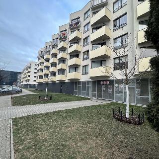 Pronájem parkovacího místa 14 m² Praha, Mezi vodami