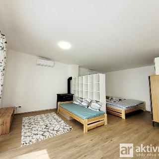 Pronájem bytu 1+kk a garsoniéry 45 m² Neratovice, Luční