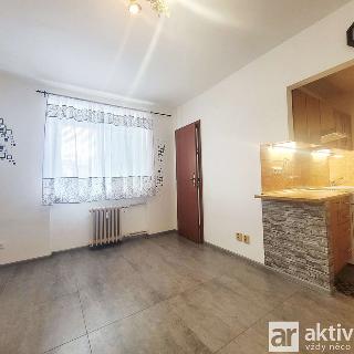 Pronájem bytu 1+1 30 m² Neratovice, Školní