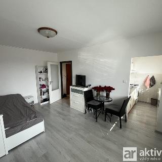 Pronájem bytu 1+kk a garsoniéry 29 m² Praha, Varnsdorfská