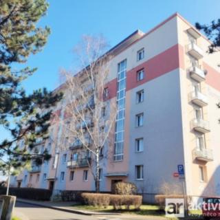 Pronájem bytu 2+1 52 m² Praha Letňany, Šumperská