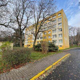 Pronájem bytu 1+kk a garsoniéry 27 m² Litvínov, Tylova