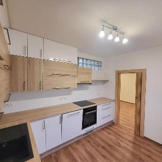 Pronájem bytu 3+1 81 m² Krupka, Šeříková