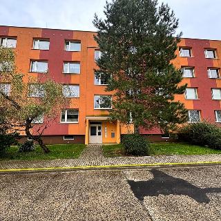 Pronájem bytu 1+1 35 m² Krupka, Dolní