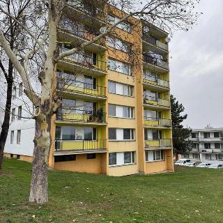 Prodej bytu 3+1 63 m² Obrnice, Nová výstavba