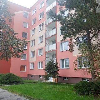 Pronájem bytu 1+1 36 m² Chomutov, Písečná