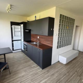 Pronájem bytu 1+1 35 m² Most