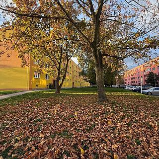 Prodej bytu 2+1 56 m&sup2; Bílina