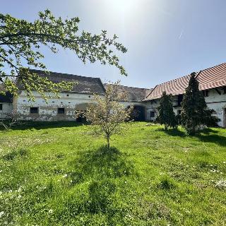 Prodej ostatního komerčního prostoru Velemyšleves