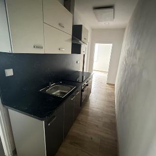 Pronájem bytu 2+1 40 m² Most, Železničářů