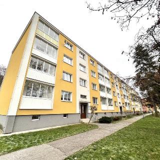 Pronájem bytu 2+1 56 m² Bílina, Sídliště U Nového nádraží