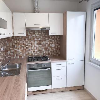 Pronájem bytu 2+1 52 m² Duchcov, Sadová