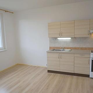 Pronájem bytu 1+1 Chomutov