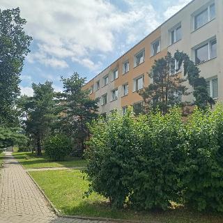 Prodej bytu 3+kk 63 m² Bílina, Aléská