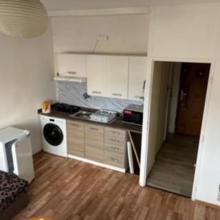 Pronájem bytu 1+kk a garsoniéry 29 m² Bílina Teplické Předměstí, Sídliště Za Chlumem