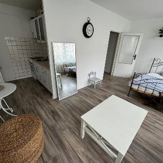 Prodej bytu 1+kk a garsoniéry 34 m² Most, Kpt. Jaroše